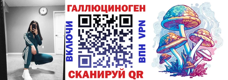 Галлюциногенные грибы Psilocybe  Артёмовск 